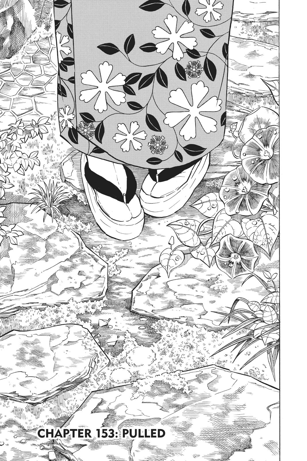 Demon Slayer: Kimetsu no Yaiba Chap 153 - Next Chap 154