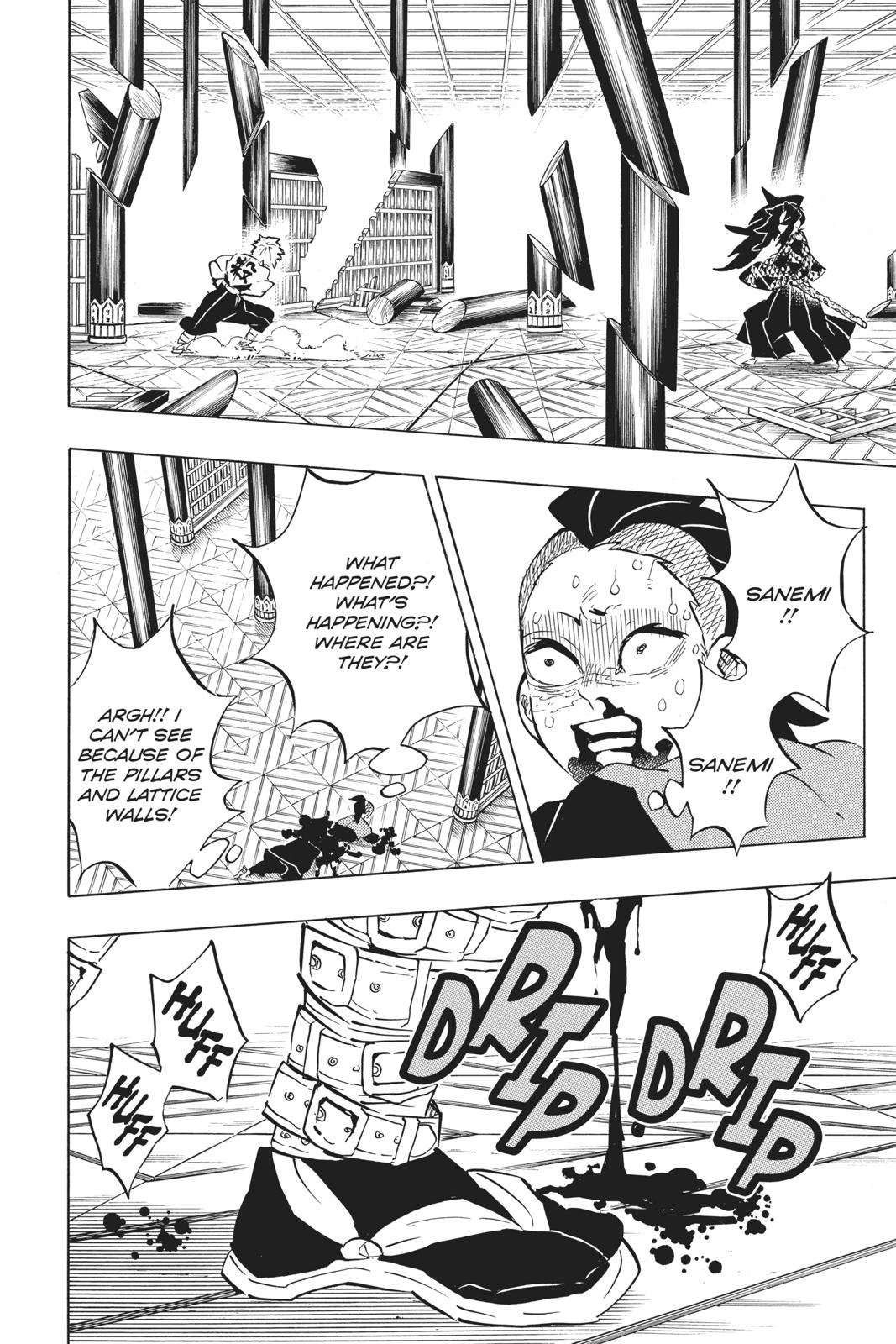 Demon Slayer: Kimetsu no Yaiba Chap 167 - Next Chap 168