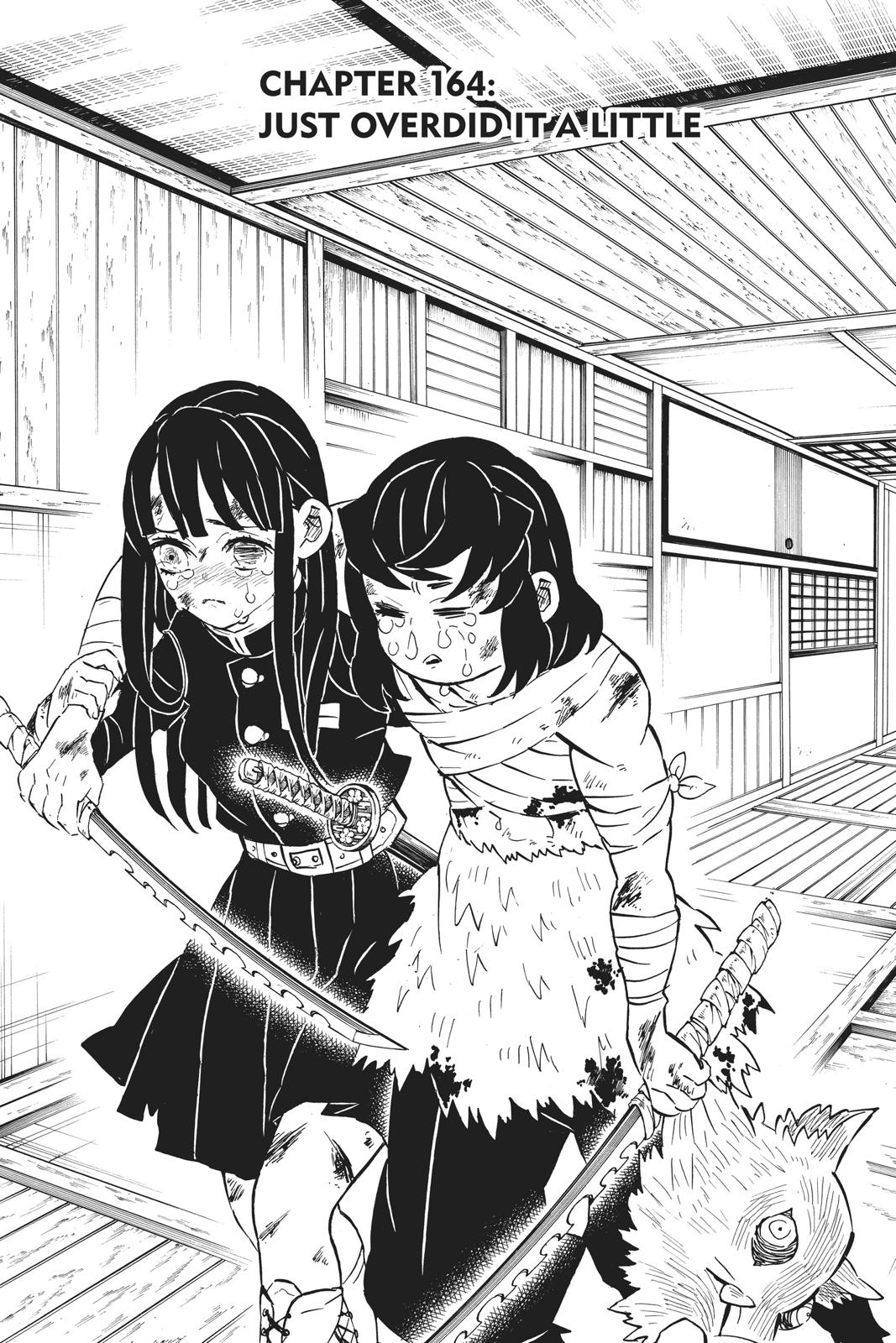 Demon Slayer: Kimetsu no Yaiba Chap 164 - Next Chap 165