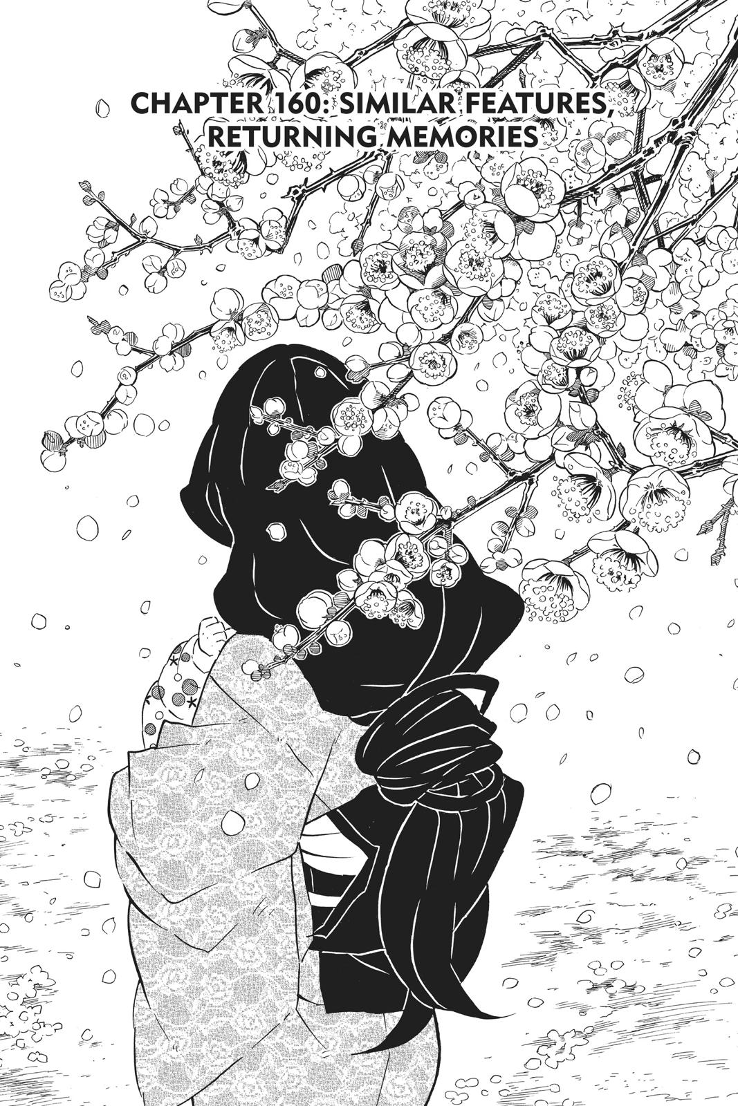 Demon Slayer: Kimetsu no Yaiba Chap 160 - Next Chap 161