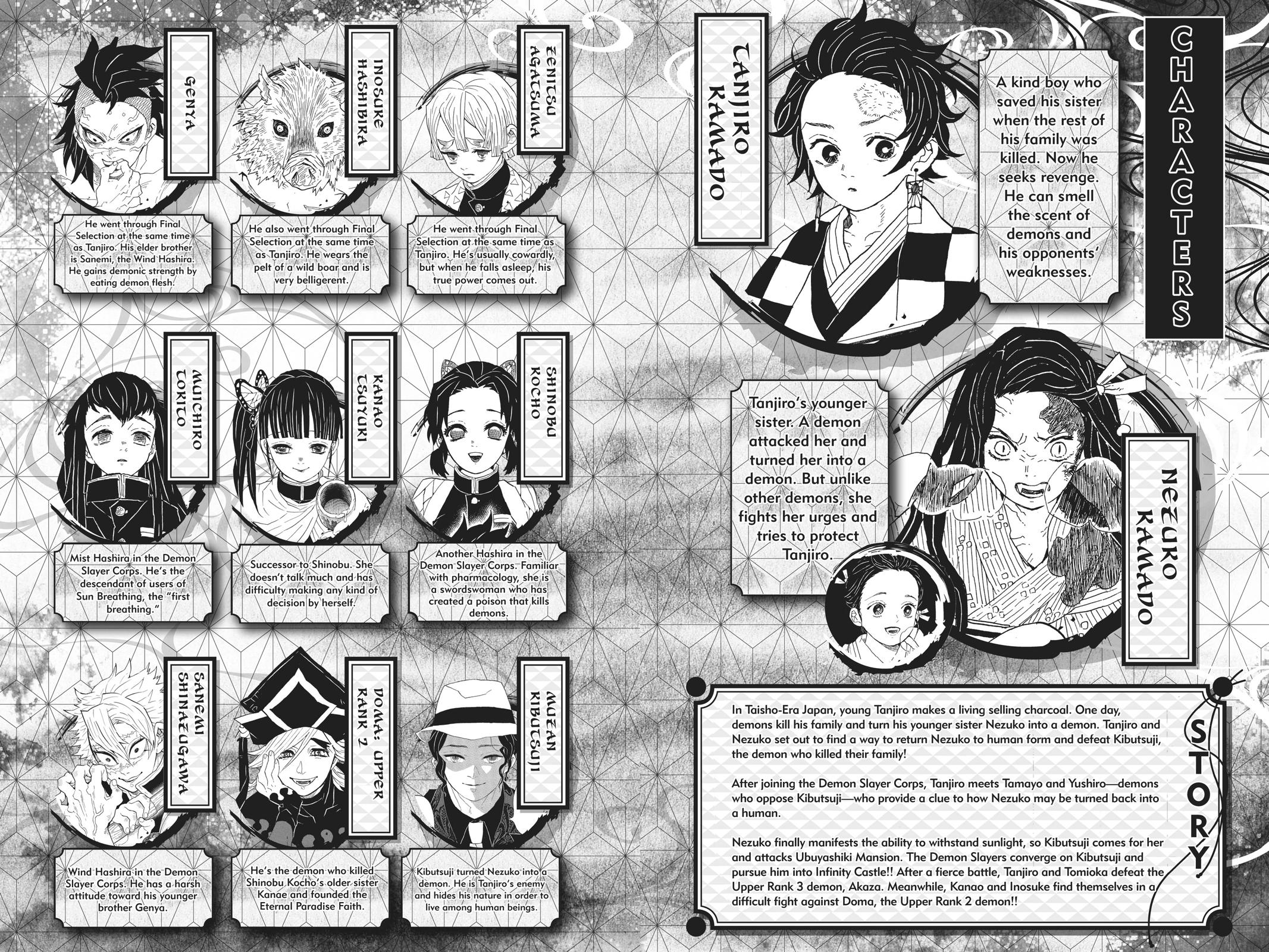 Demon Slayer: Kimetsu no Yaiba Chap 161 - Next Chap 162