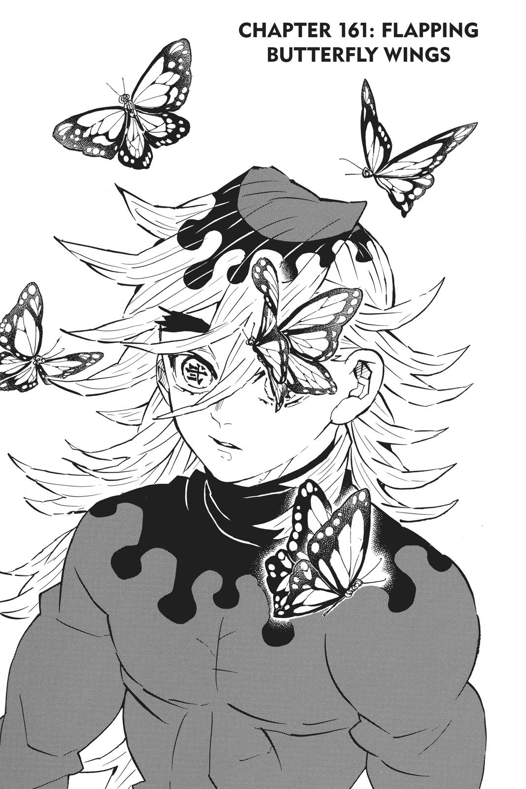 Demon Slayer: Kimetsu no Yaiba Chap 161 - Next Chap 162