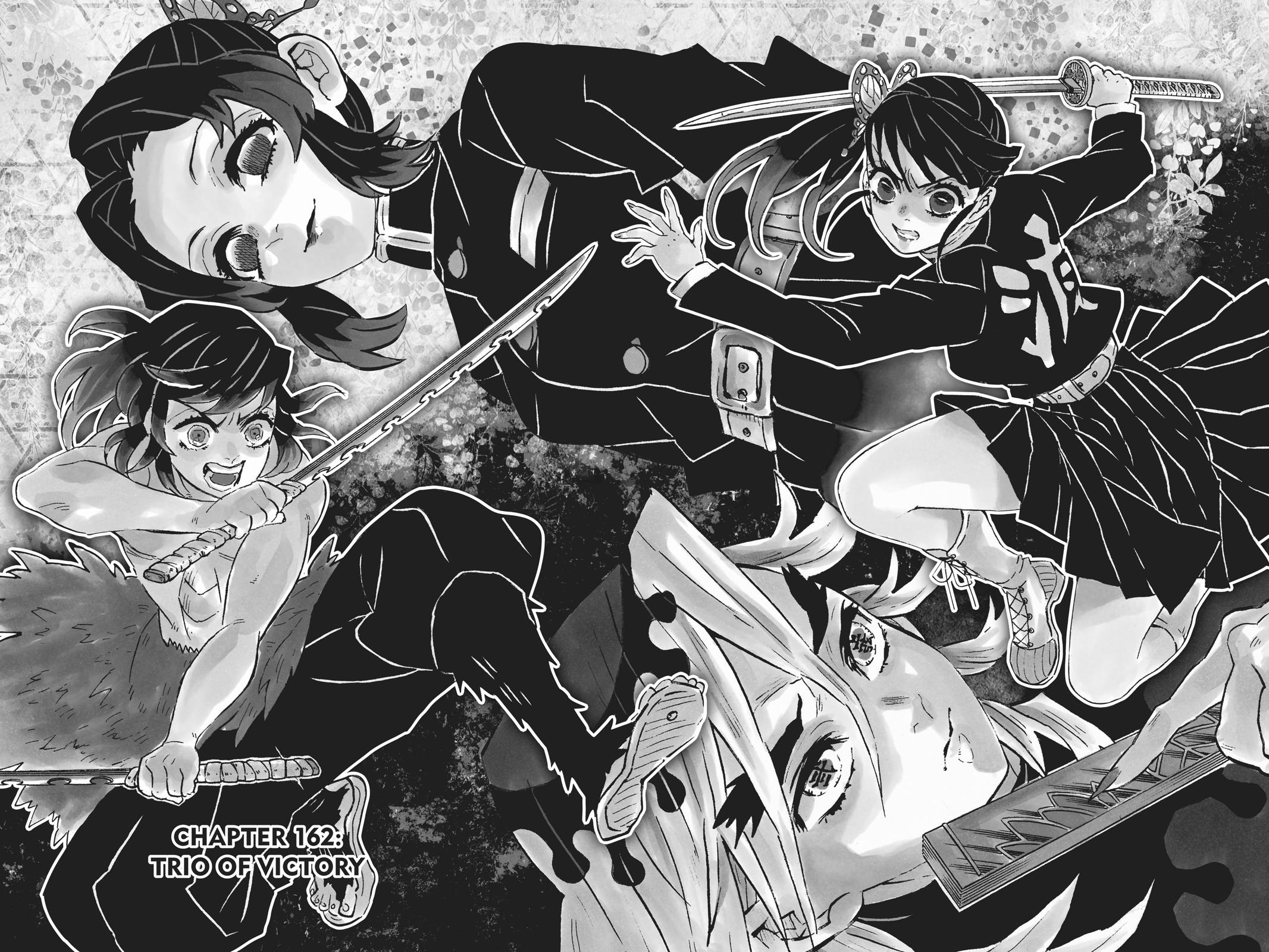 Demon Slayer: Kimetsu no Yaiba Chap 162 - Next Chap 163