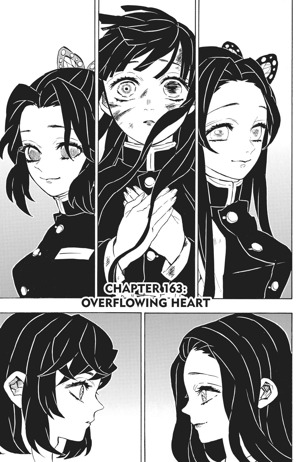 Demon Slayer: Kimetsu no Yaiba Chap 163 - Next Chap 164