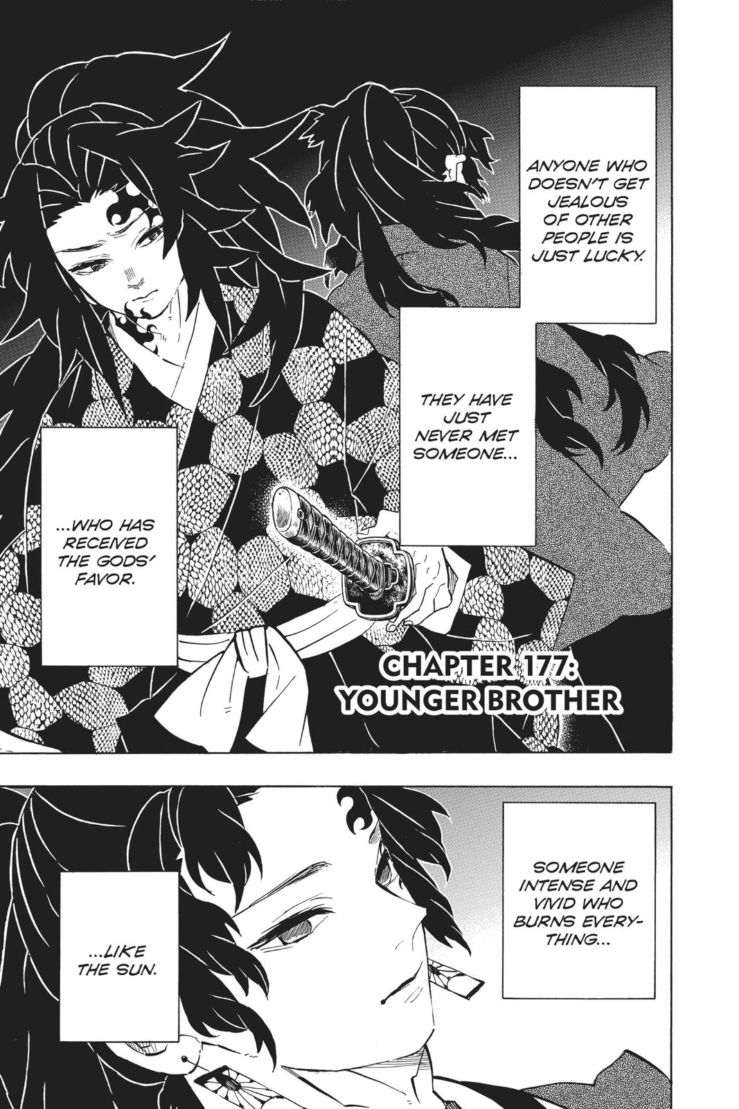 Demon Slayer: Kimetsu no Yaiba Chap 177 - Next Chap 178