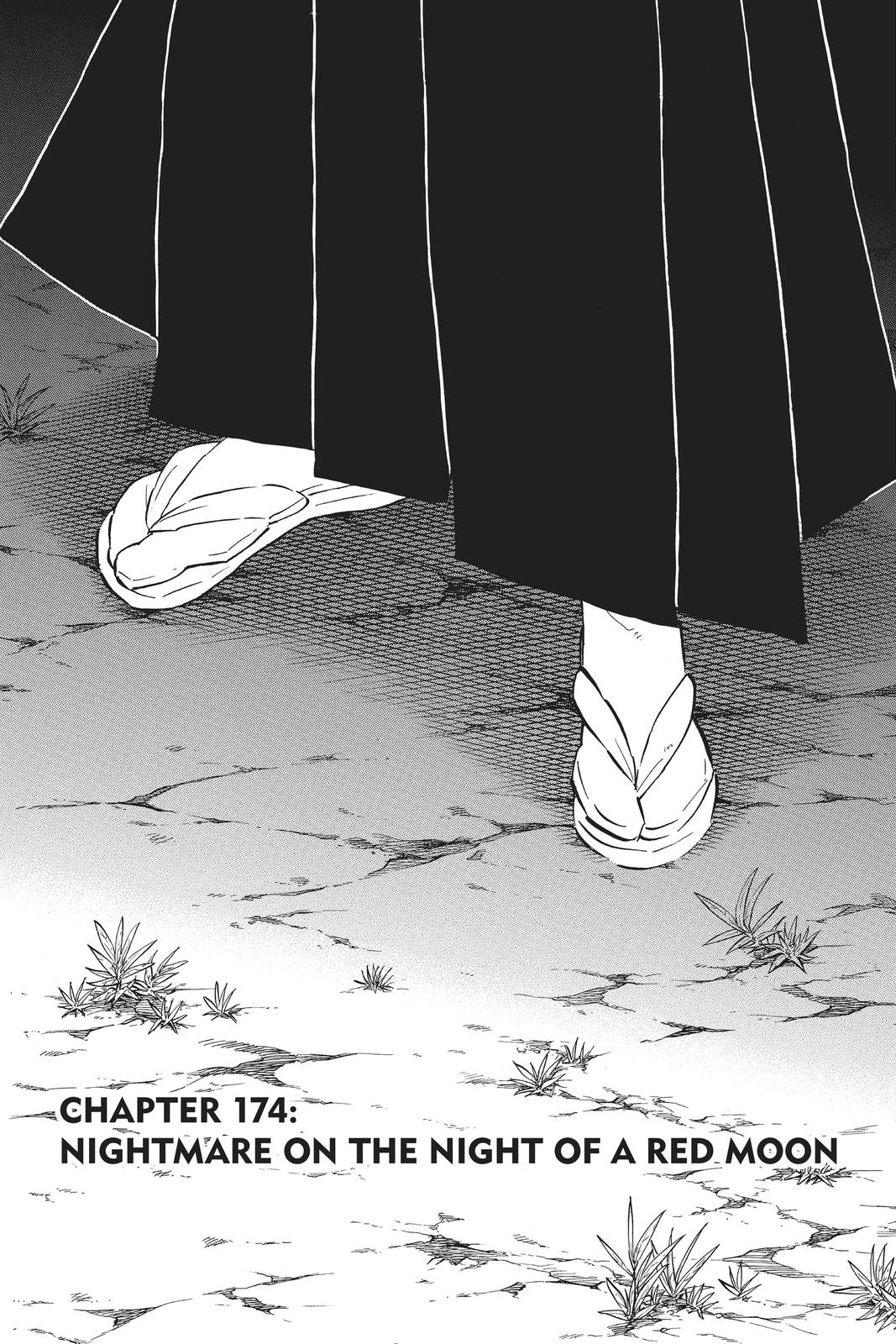 Demon Slayer: Kimetsu no Yaiba Chap 174 - Next Chap 175