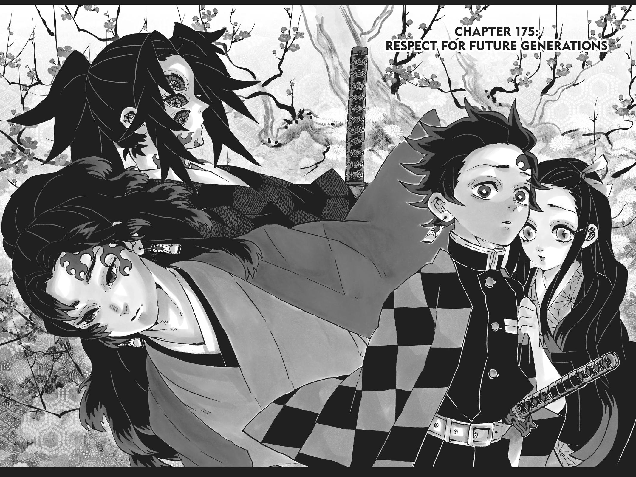 Demon Slayer: Kimetsu no Yaiba Chap 175 - Next Chap 176