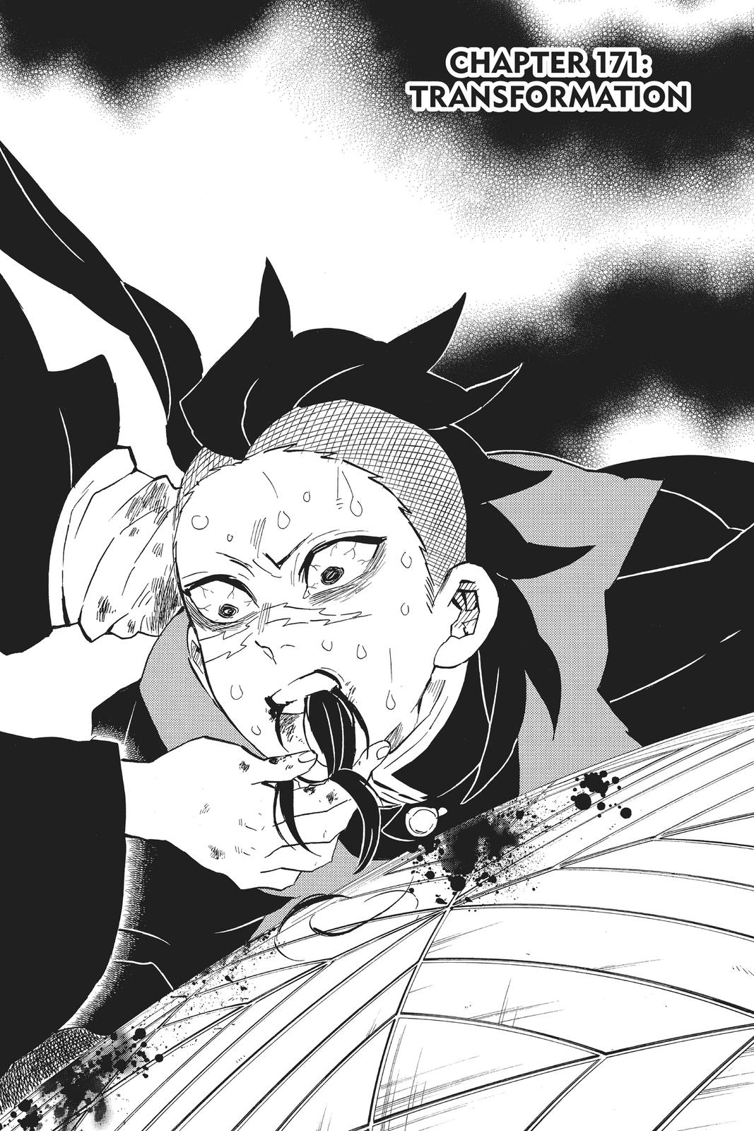 Demon Slayer: Kimetsu no Yaiba Chap 171 - Next Chap 172