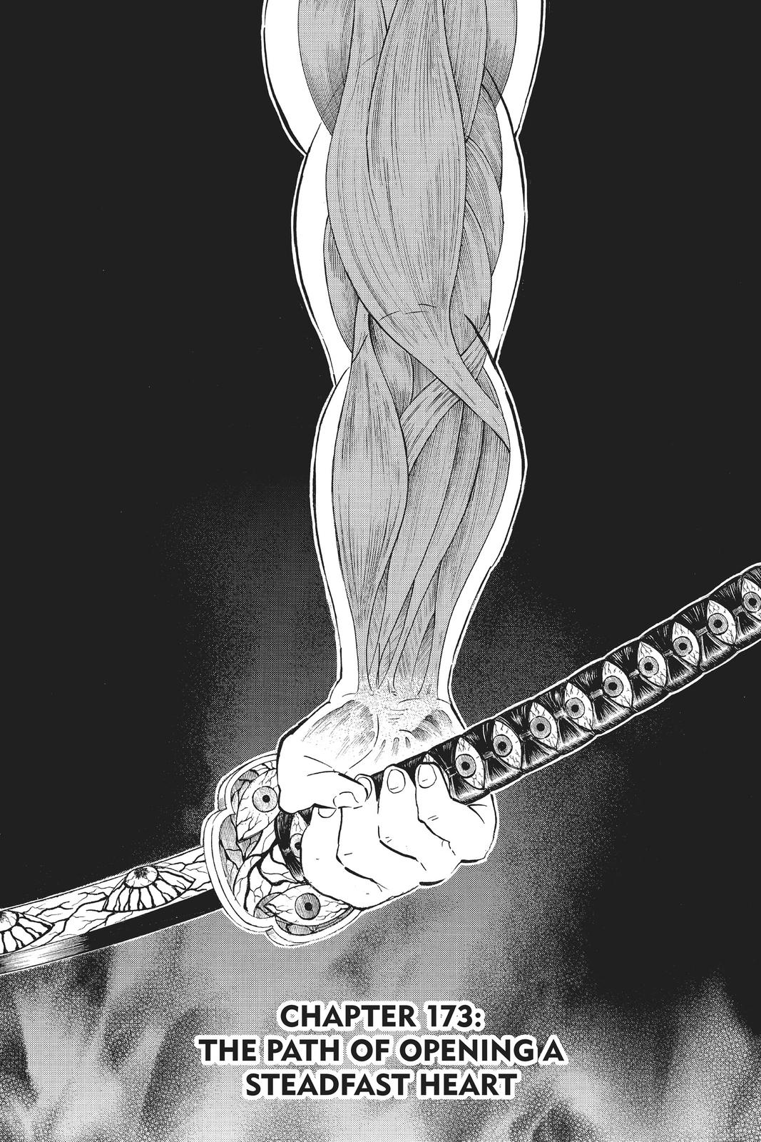 Demon Slayer: Kimetsu no Yaiba Chap 173 - Next Chap 174