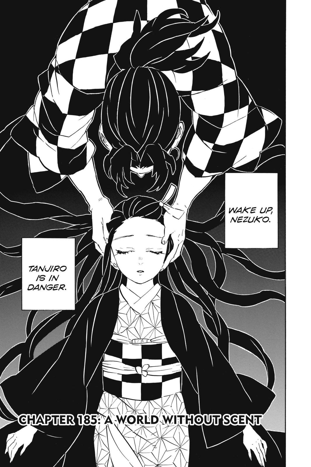 Demon Slayer: Kimetsu no Yaiba Chap 185 - Next Chap 186