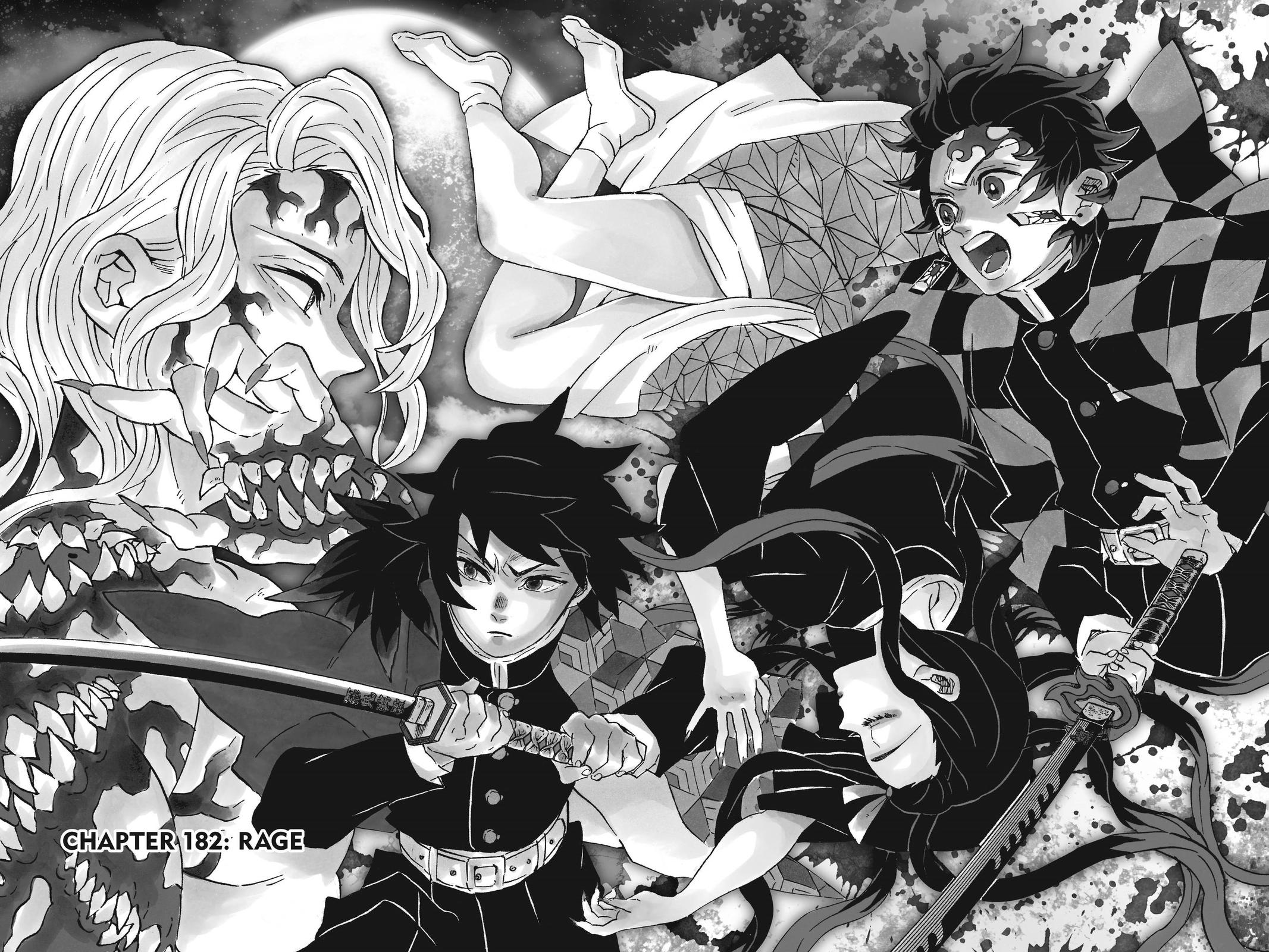 Demon Slayer: Kimetsu no Yaiba Chap 182 - Next Chap 183