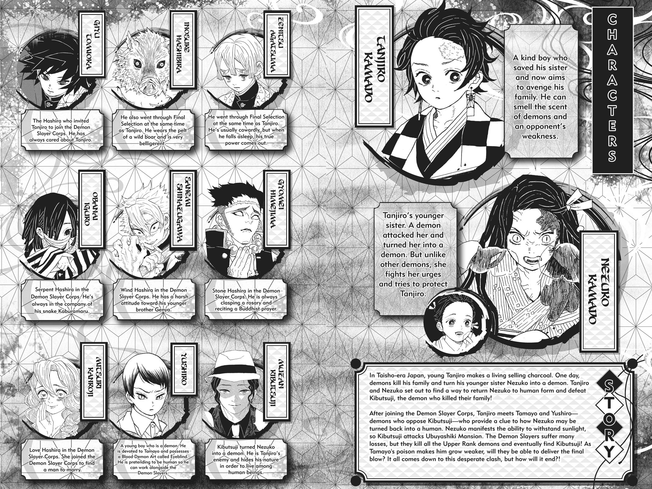Demon Slayer: Kimetsu no Yaiba Chap 197 - Next Chap 198