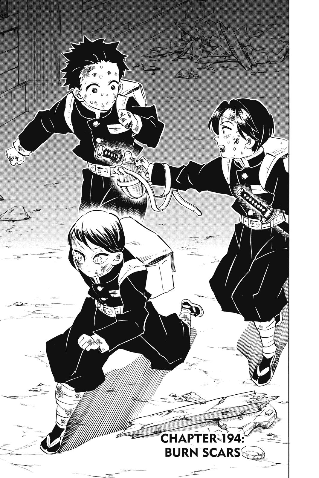 Demon Slayer: Kimetsu no Yaiba Chap 194 - Next Chap 195