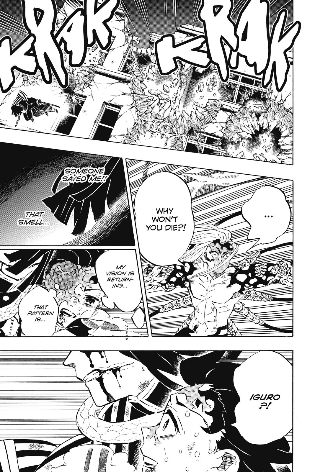 Demon Slayer: Kimetsu no Yaiba Chap 194 - Next Chap 195