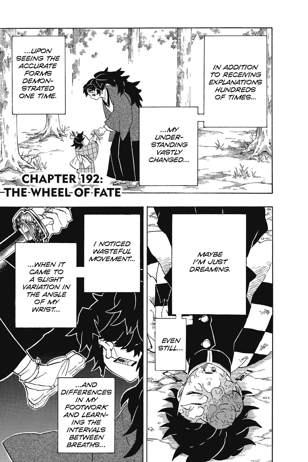 Demon Slayer: Kimetsu no Yaiba Chap 192 - Next Chap 193