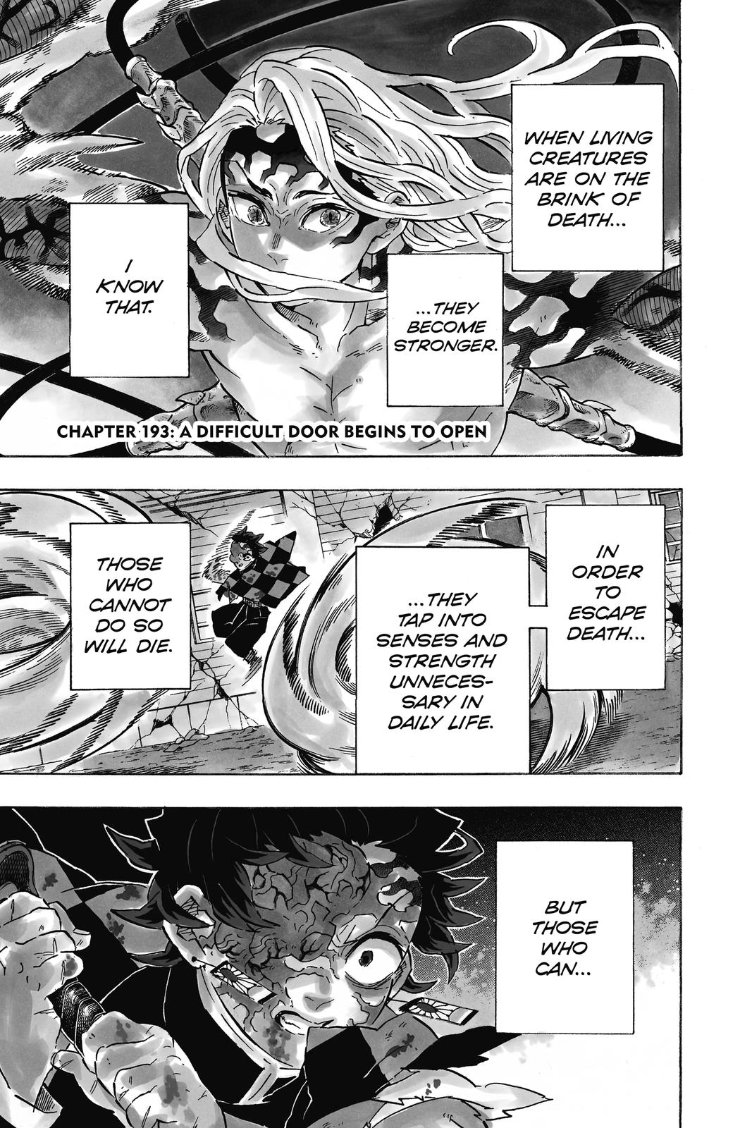 Demon Slayer: Kimetsu no Yaiba Chap 193 - Next Chap 194