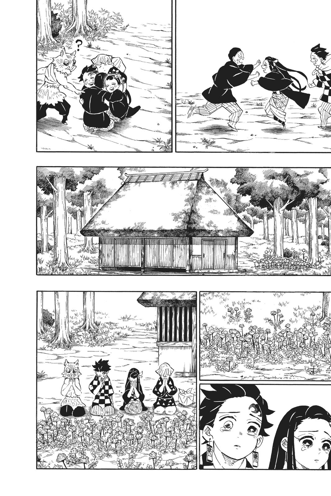 Demon Slayer: Kimetsu no Yaiba Chap 204 - Next Chap 205