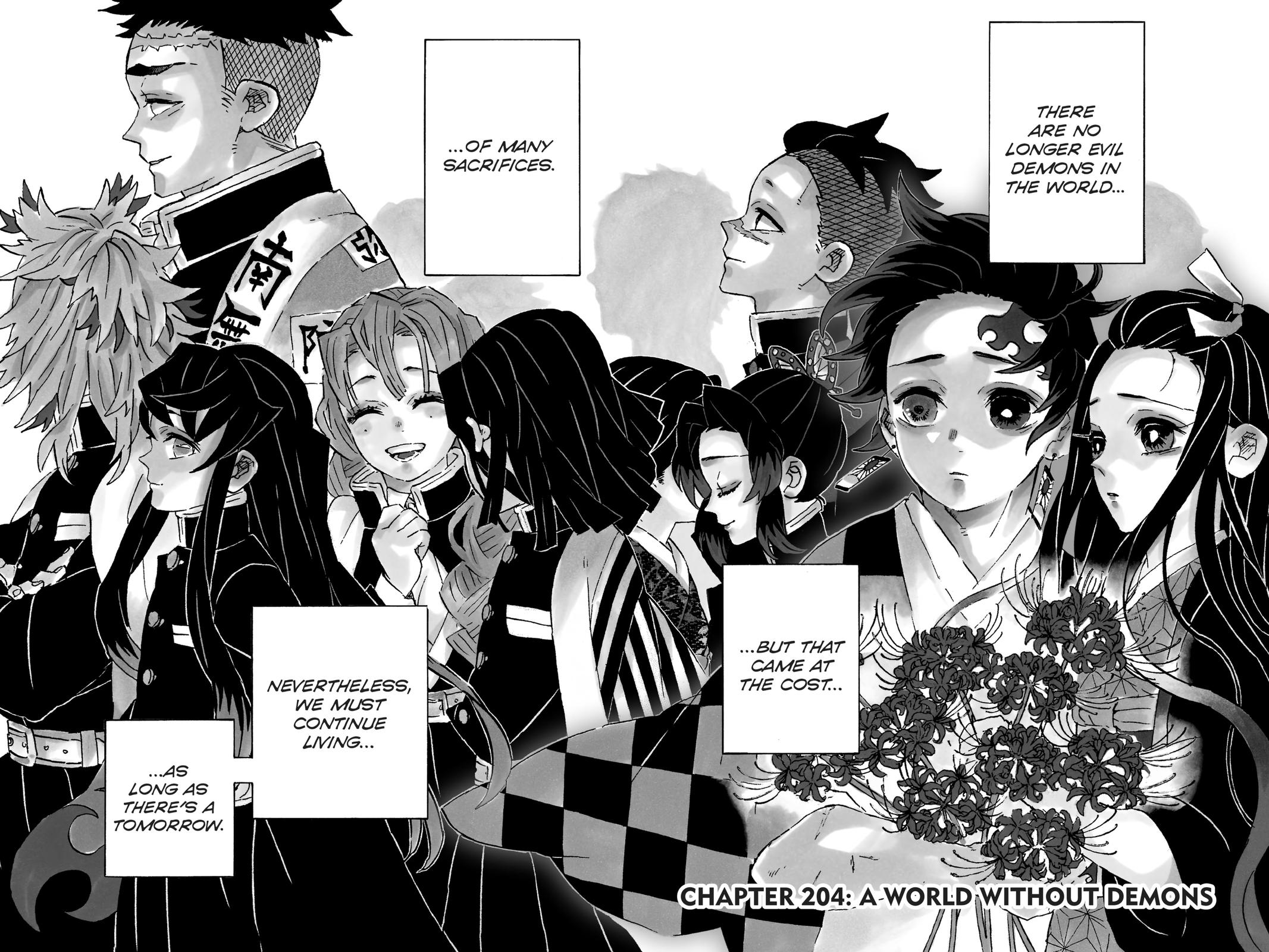 Demon Slayer: Kimetsu no Yaiba Chap 204 - Next Chap 205