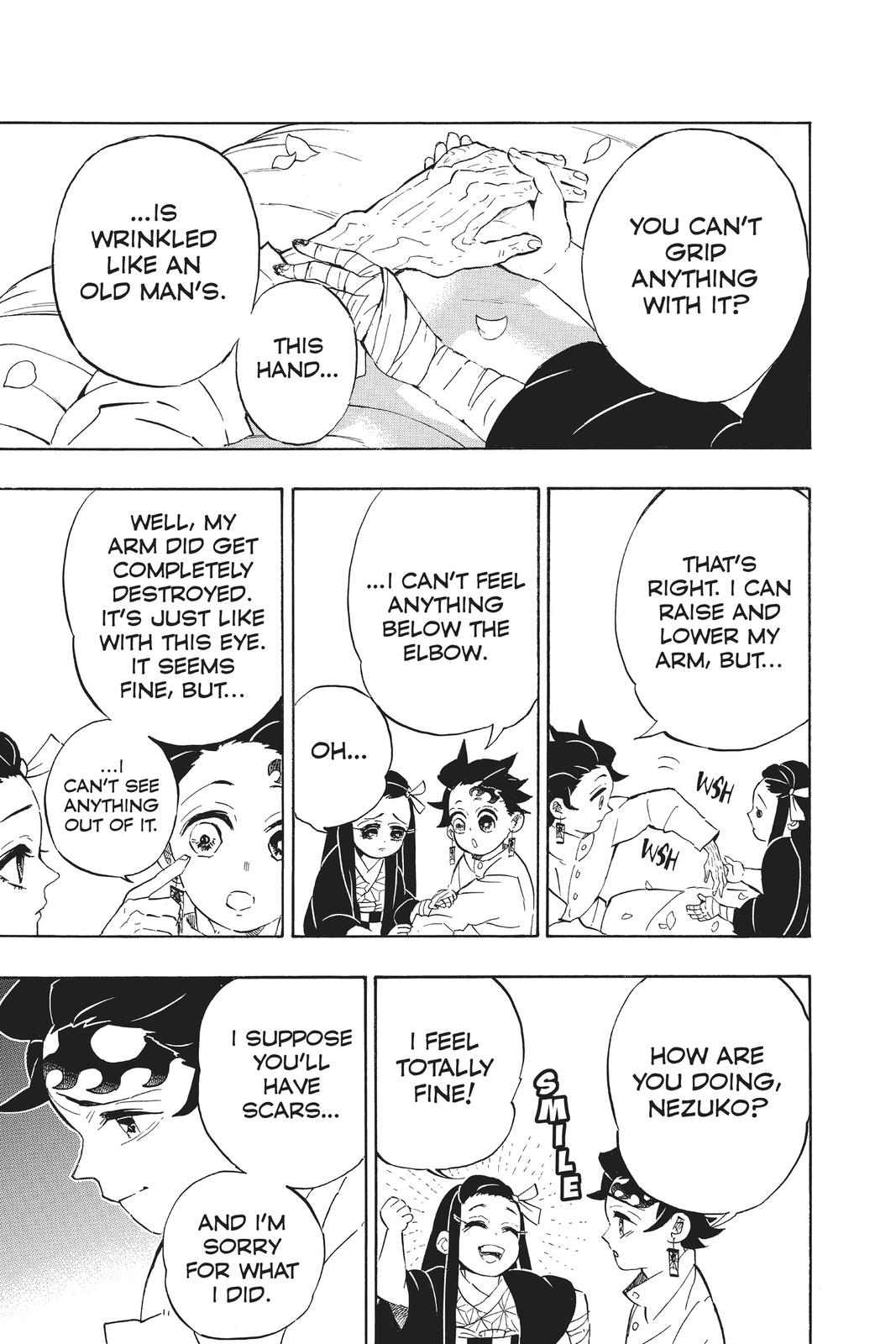 Demon Slayer: Kimetsu no Yaiba Chap 204 - Next Chap 205