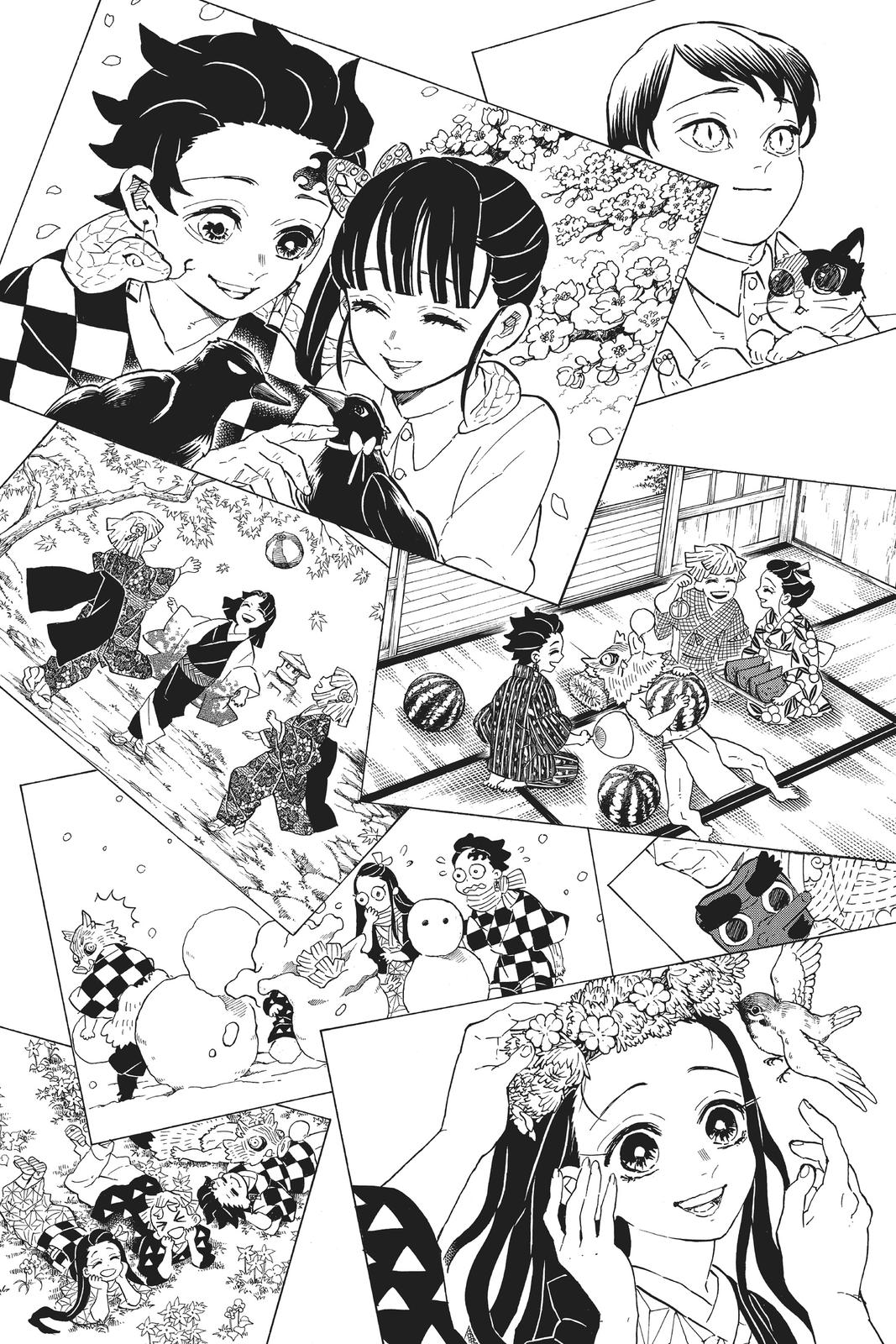 Demon Slayer: Kimetsu no Yaiba Chap 205 - Next Chap 206