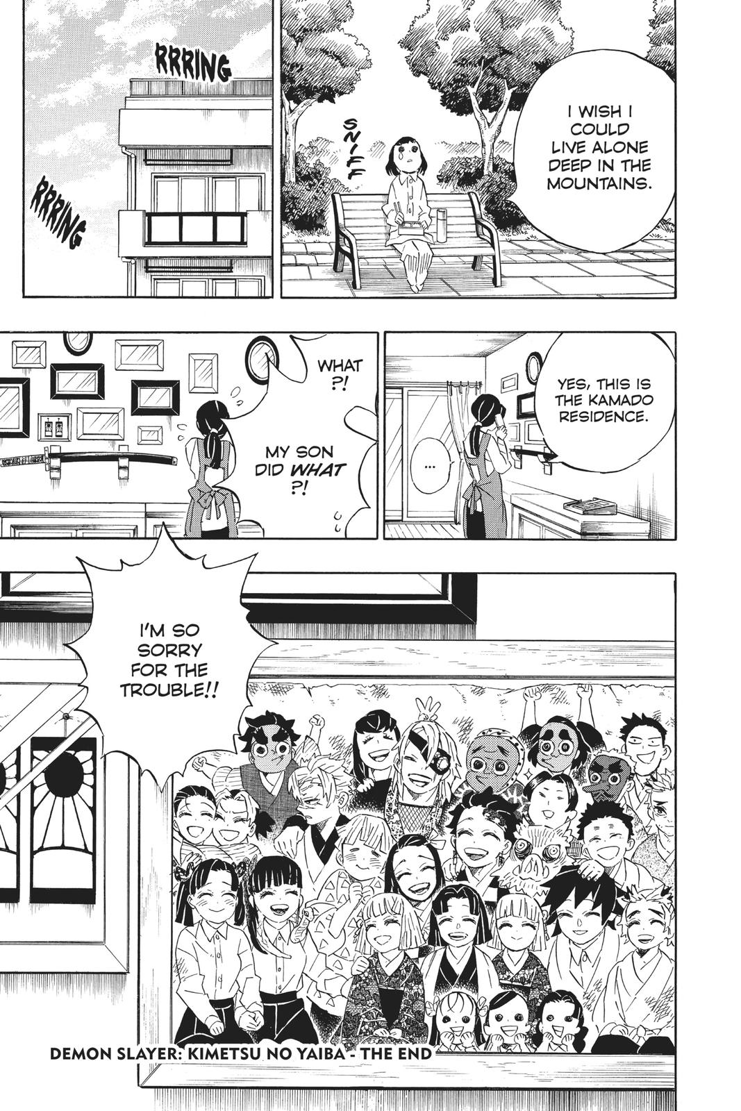 Demon Slayer: Kimetsu no Yaiba Chap 205 - Next Chap 206