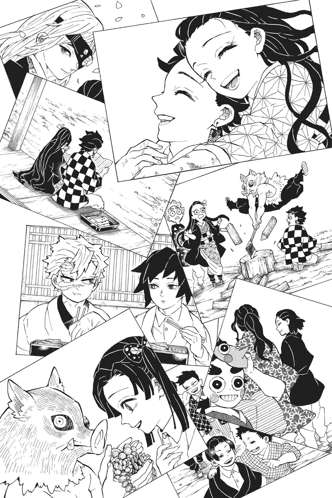 Demon Slayer: Kimetsu no Yaiba Chap 205 - Next Chap 206