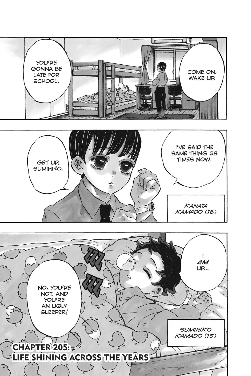 Demon Slayer: Kimetsu no Yaiba Chap 205 - Next Chap 206