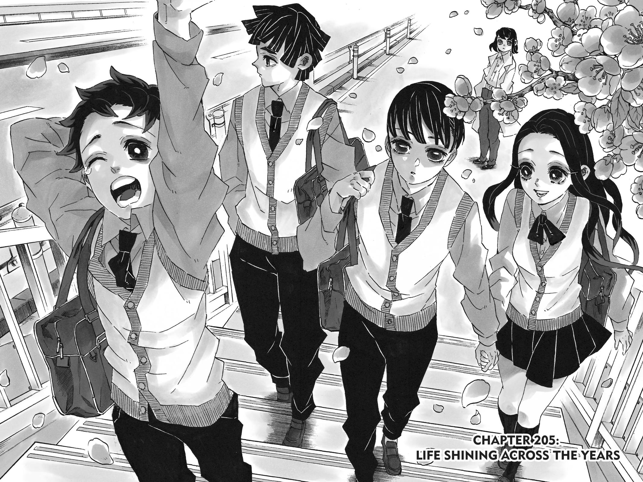 Demon Slayer: Kimetsu no Yaiba Chap 205 - Next Chap 206