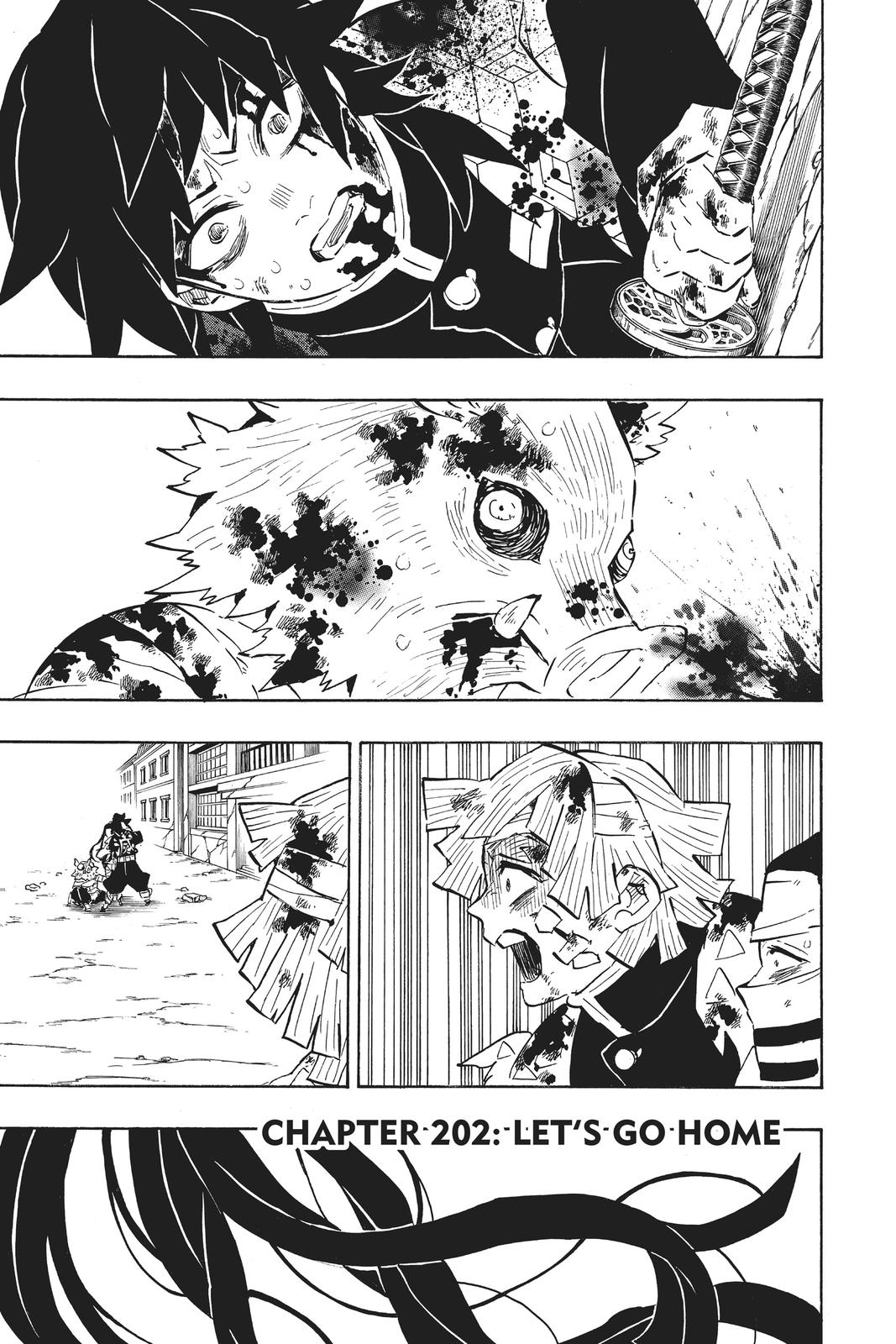 Demon Slayer: Kimetsu no Yaiba Chap 202 - Next Chap 203