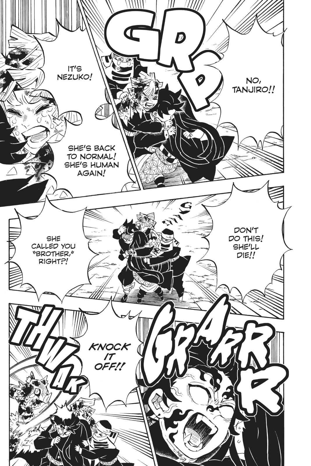Demon Slayer: Kimetsu no Yaiba Chap 202 - Next Chap 203