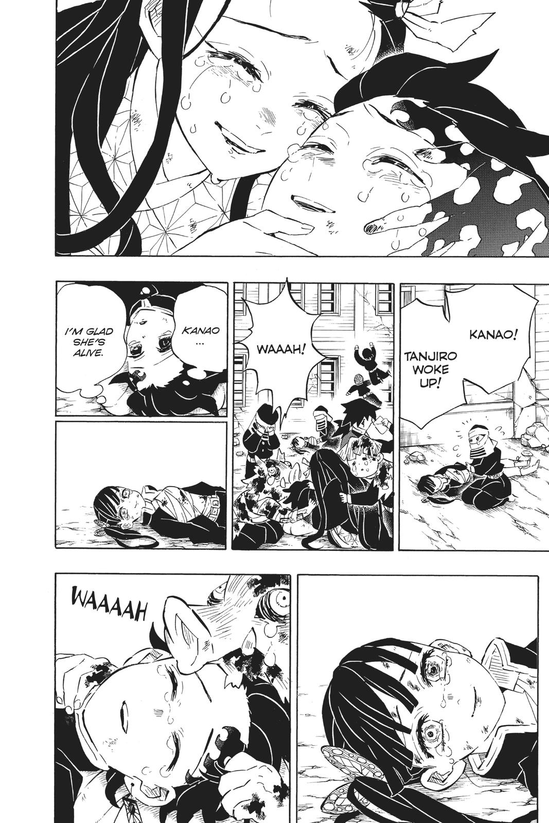 Demon Slayer: Kimetsu no Yaiba Chap 203 - Next Chap 204