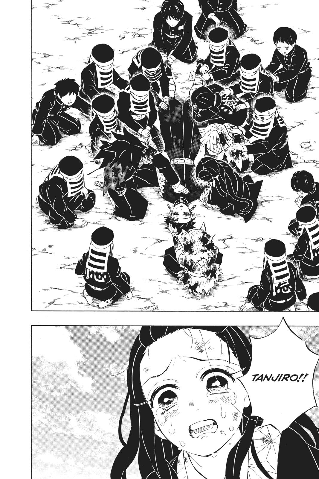 Demon Slayer: Kimetsu no Yaiba Chap 203 - Next Chap 204
