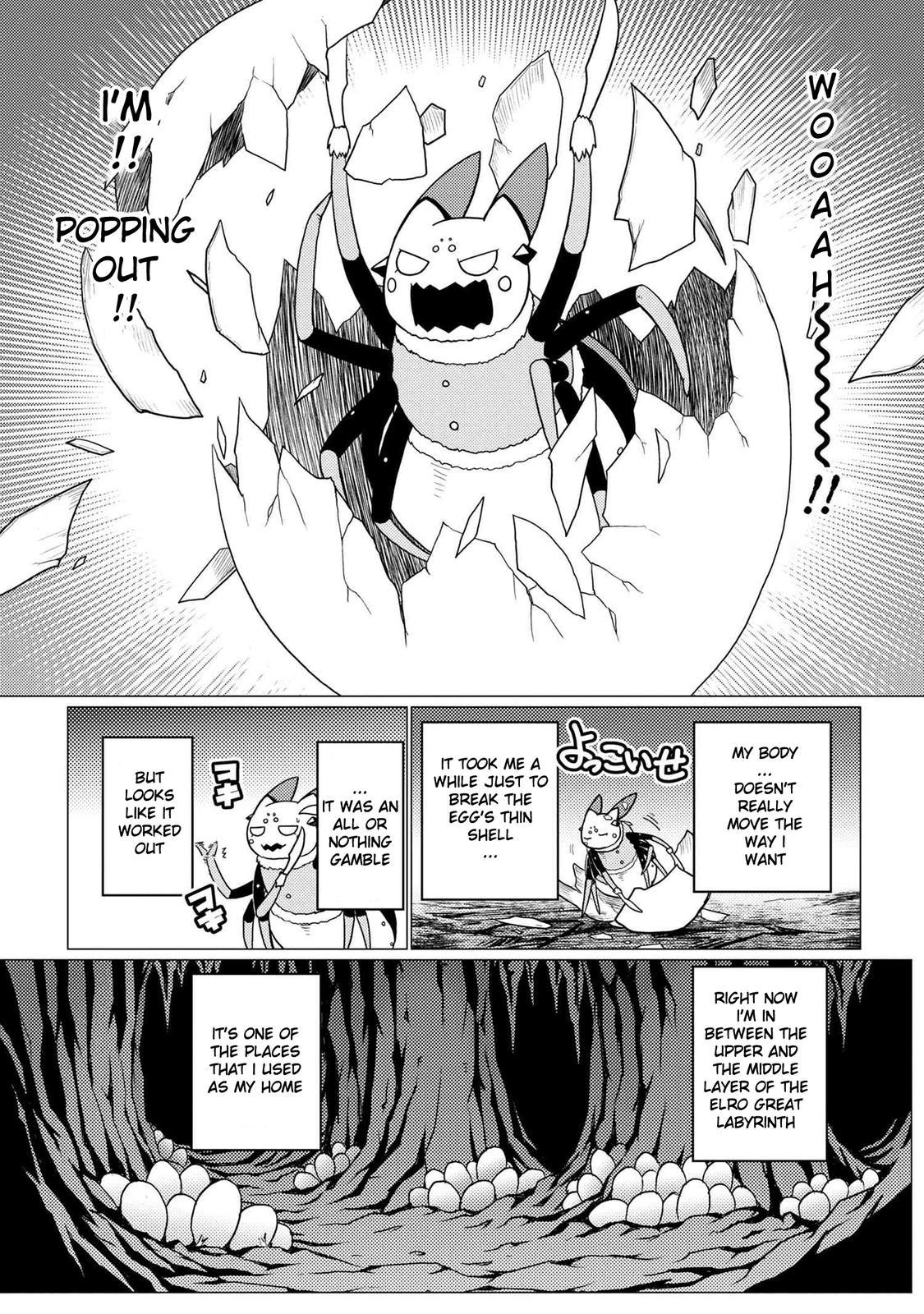 Kumo desu ga, Nani ka? Chap 54.5 - Next Chap 55.5