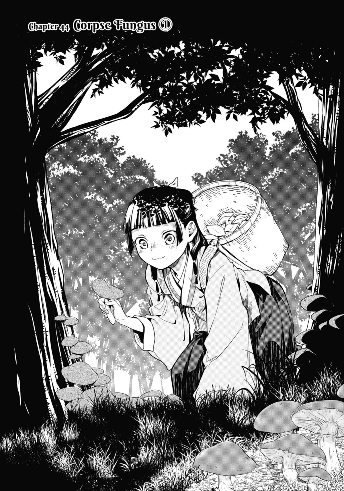 Kusuriya no Hitorigoto Chap 44 - Next Chap 45