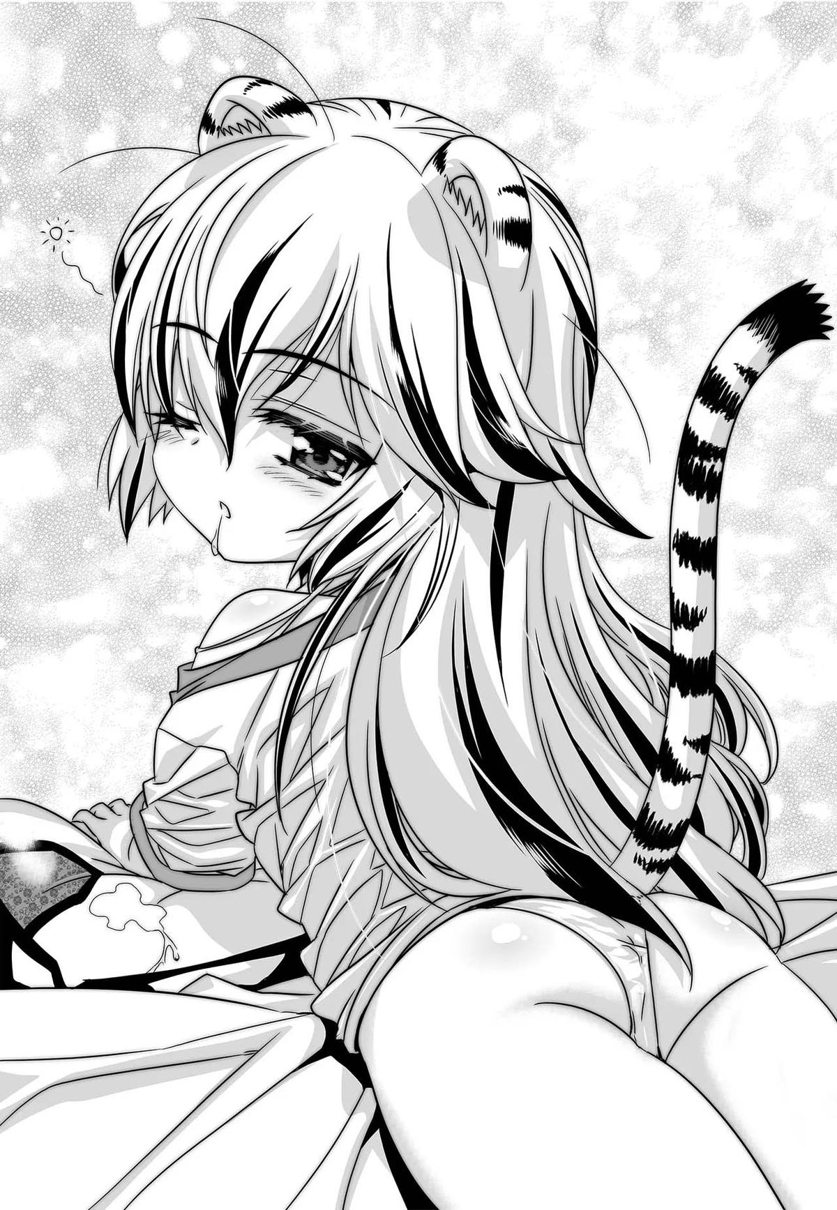 My Love Tiger Chap 259 - Next Chap 260