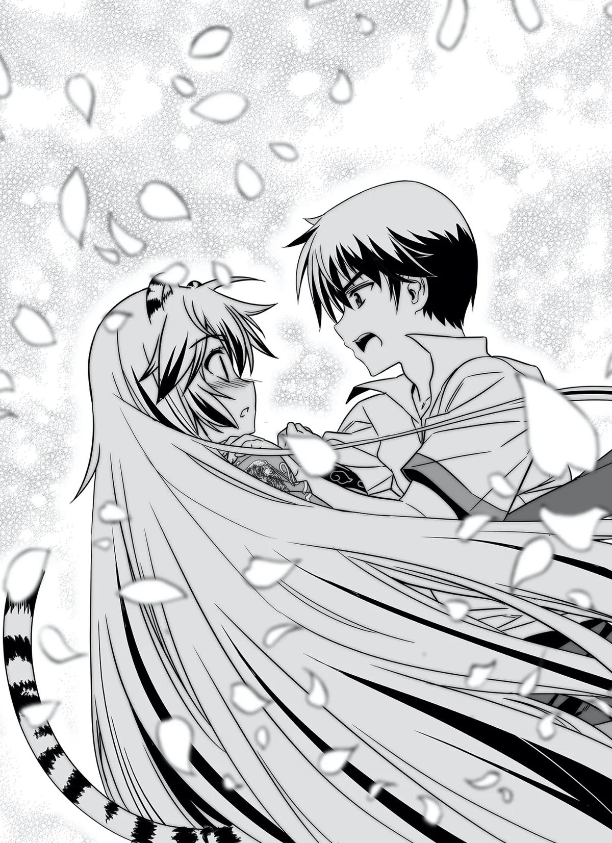 My Love Tiger Chap 317 - Next Chap 318