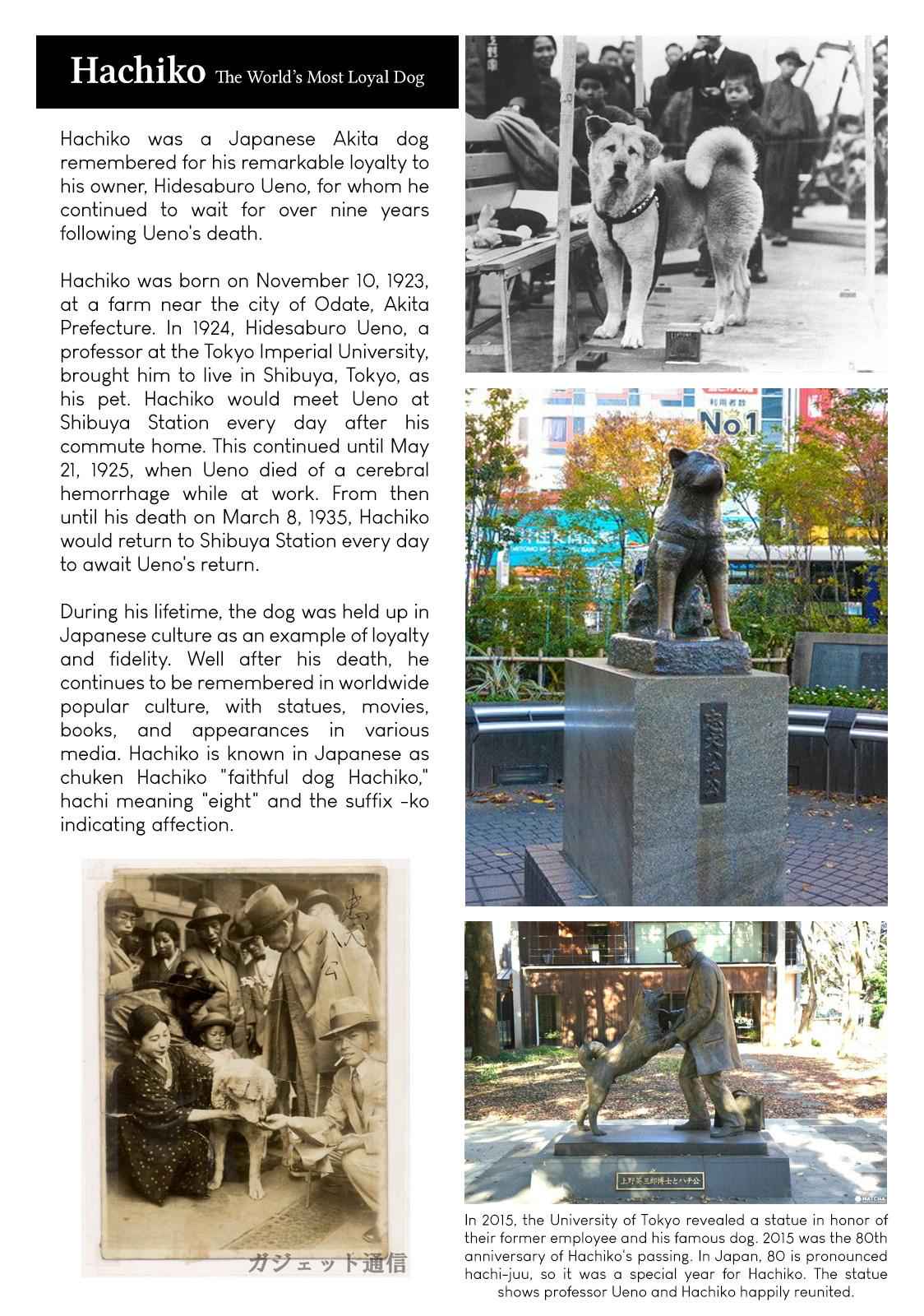 Namida Ame to Serenade Chap 9 - Next Chap 10