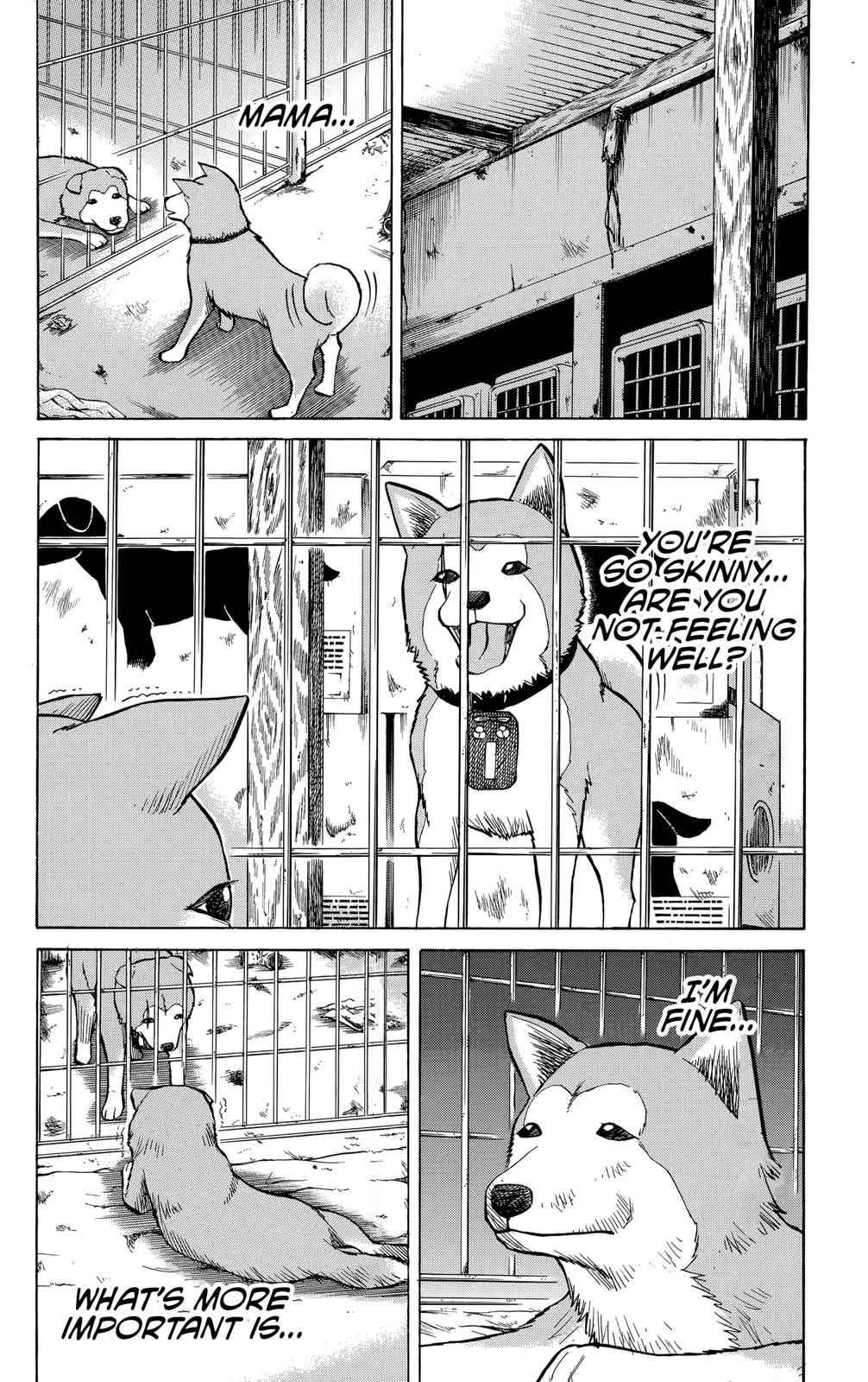 Nanba MG5 Chap 100 - Next Chap 101