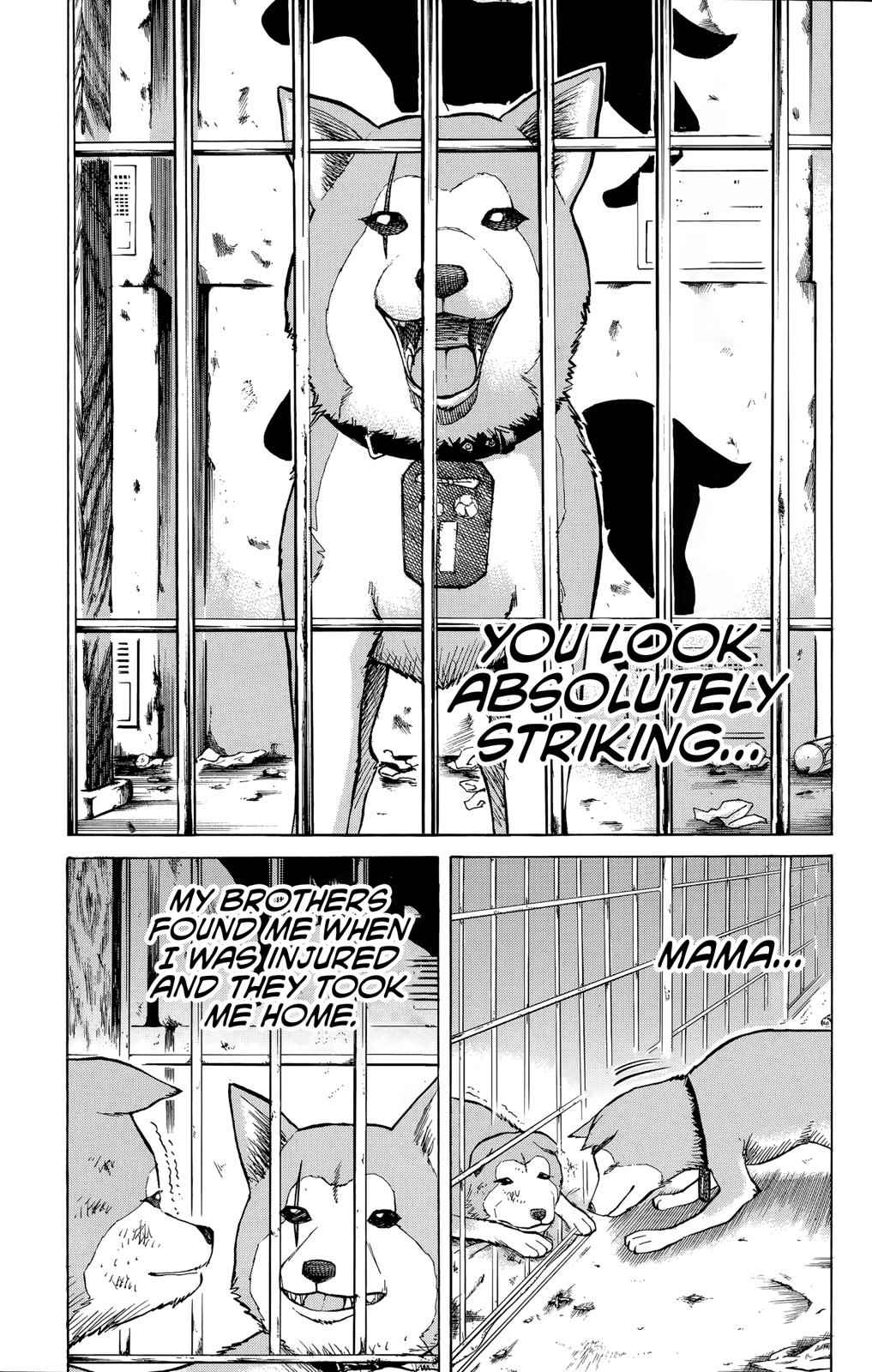 Nanba MG5 Chap 100 - Next Chap 101