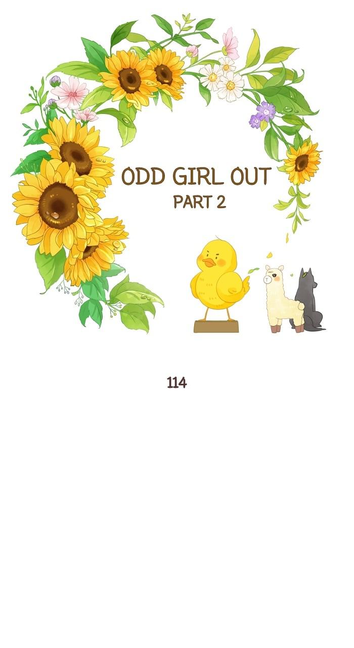 Odd Girl Out Chap 328 - Next Chap 329