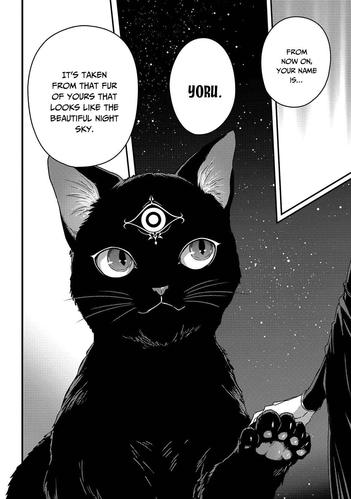 Ansatsusha de Aru Ore no Status ga Yuusha yori mo Akiraka ni Tsuyoi no da ga Chap 11 - Next Chap 12