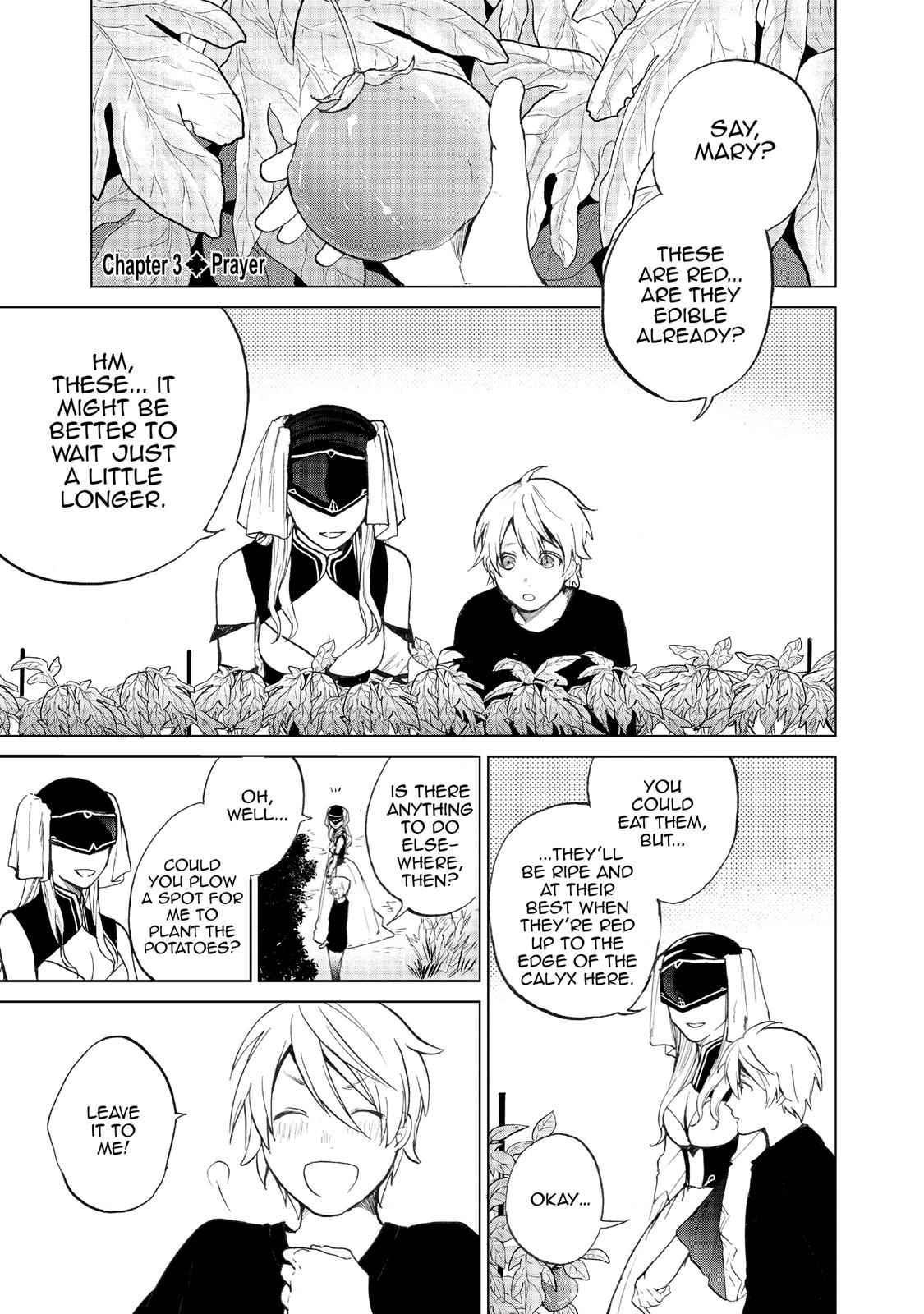 Saihate no Paladin Chap 3 - Next Chap 4