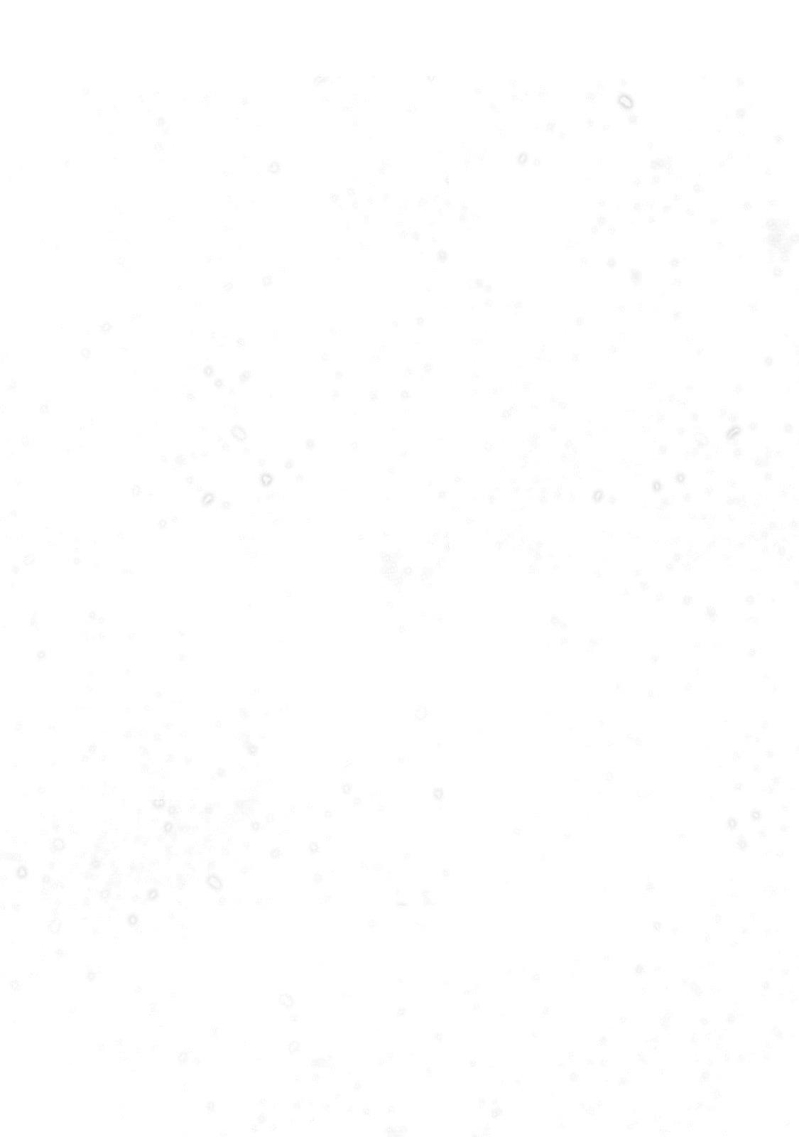 Saihate no Paladin Chap 63.2 - Next Chap 64.2