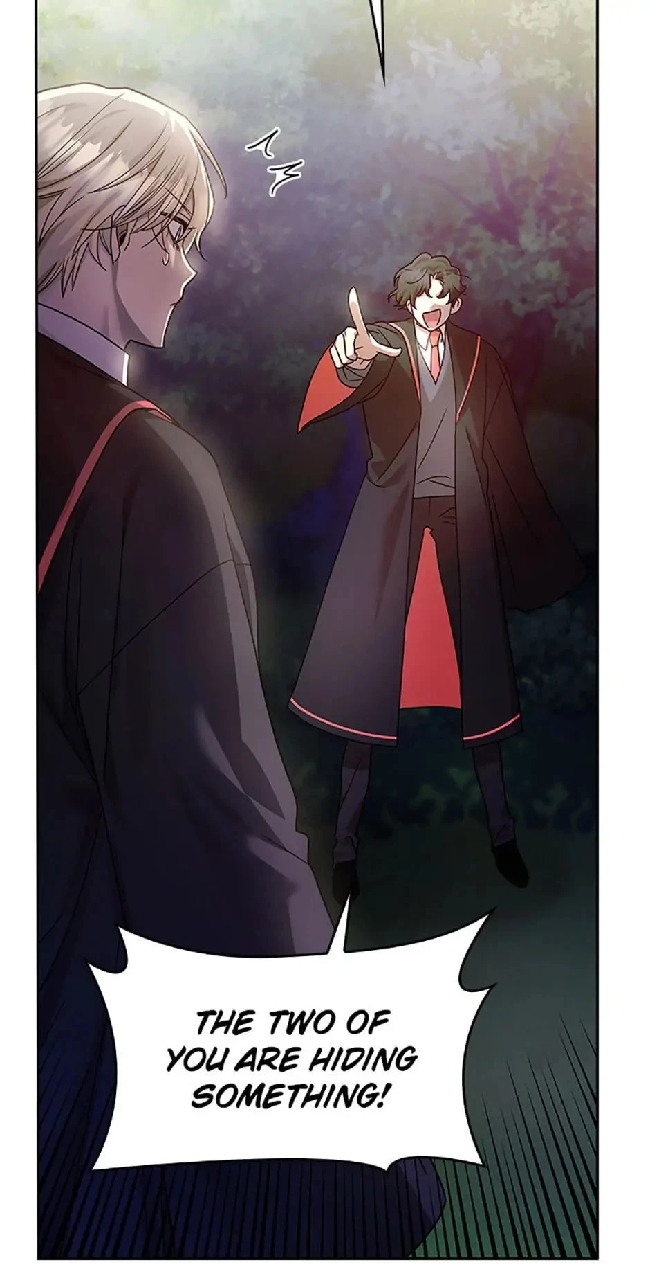 The Infinite Mage Chap 27 - Next Chap 28