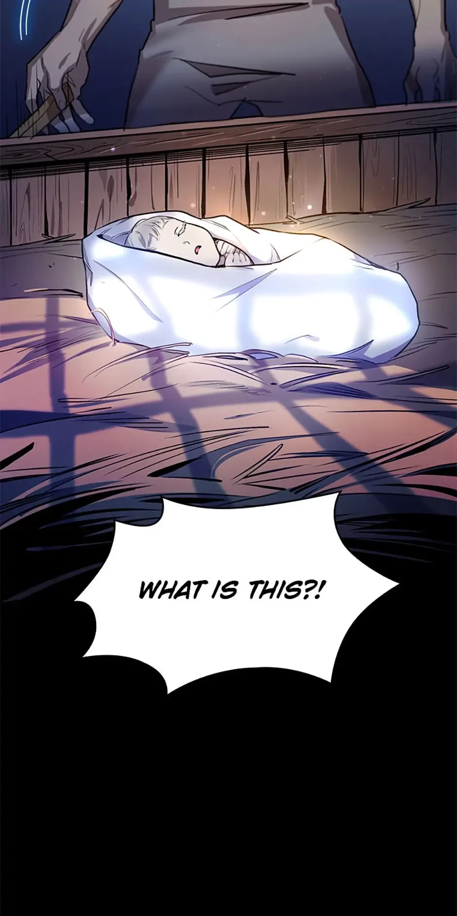 The Infinite Mage Chap 1 - Next Chap 2