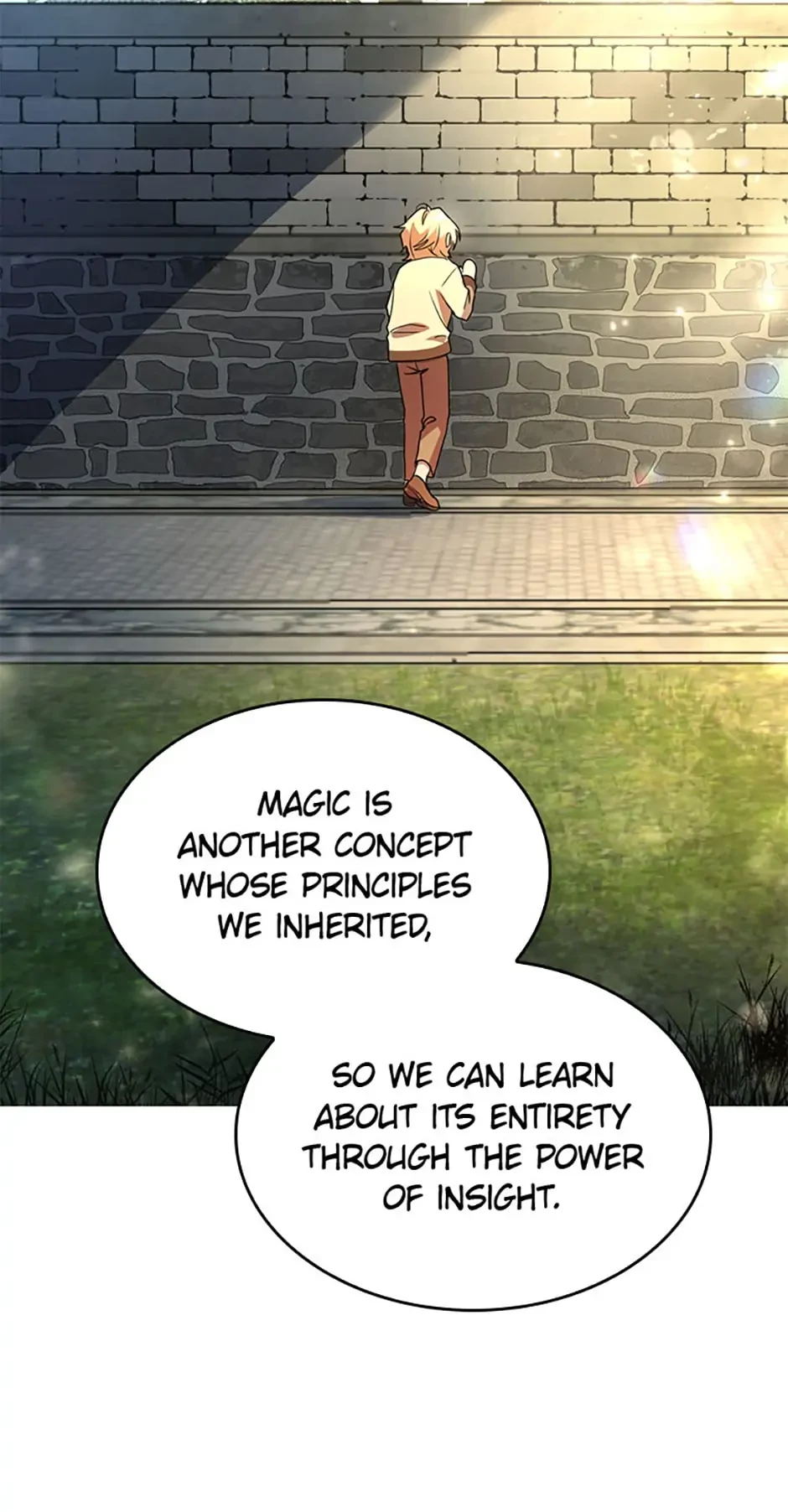 The Infinite Mage Chap 1 - Next Chap 2