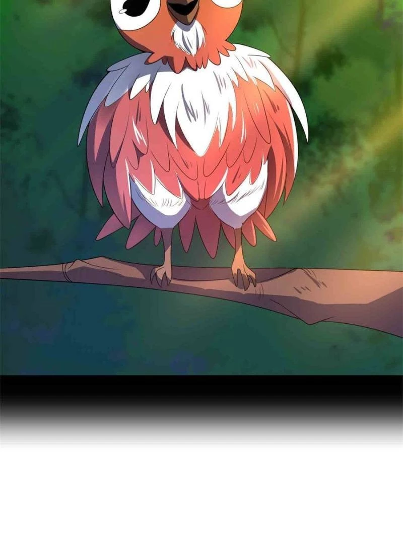 Monster Pet Evolution Chap 176 - Next Chap 177