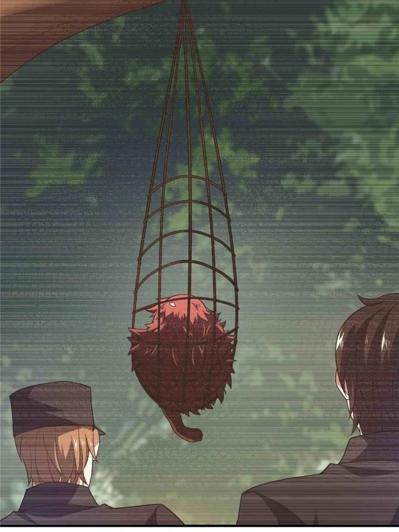 Monster Pet Evolution  Chap 118.1 - Next Chap 119.1