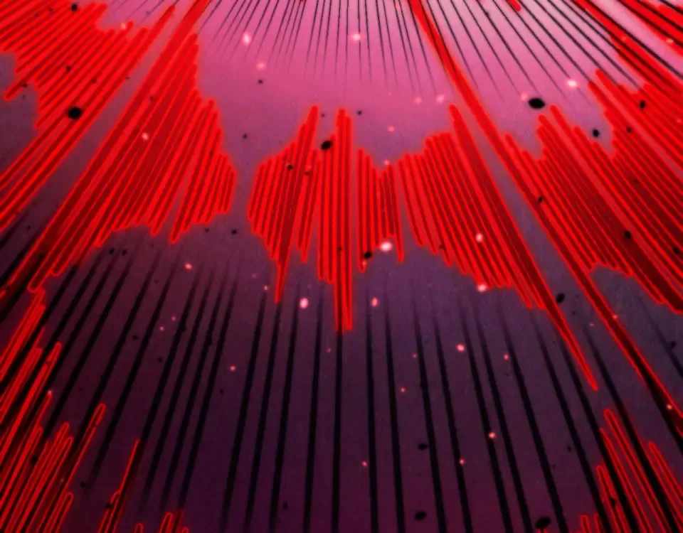 The Ultimate of All Ages Chap 486 - Next Chap 487