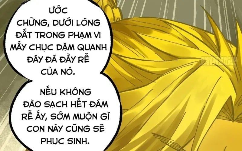 Truyền Võ Chap 492 - Next Chap 493